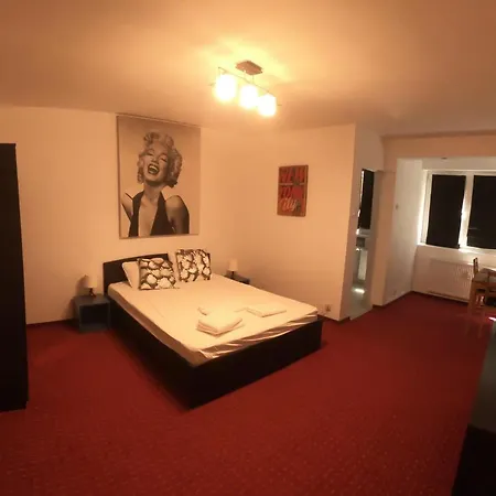 City Ring Baba Novac Apartament
